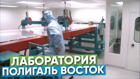Сотовый